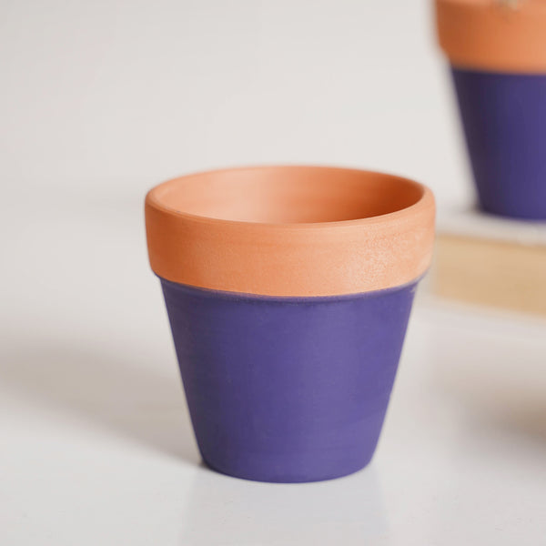 Purple Mini Clay Pot Set Of 4 - Indoor planters and flower pots | Home decor items