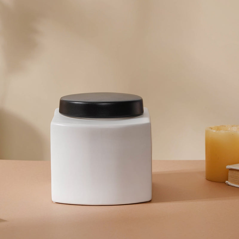 Trendy Flower Vase - Flower vase for home decor, office and gifting | Home decoration items