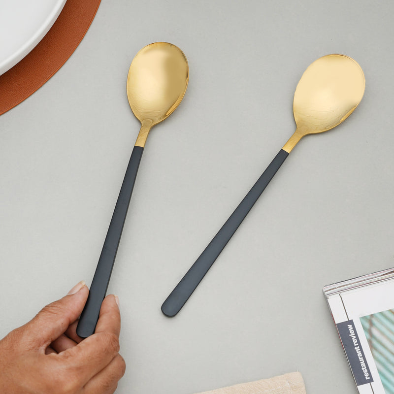 Stainless Steel Spoon Set of 2