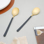 Stainless Steel Spoon Set of 2