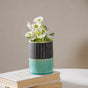 Blue Flower Pot - Flower vase for home decor, office and gifting | Home decoration items
