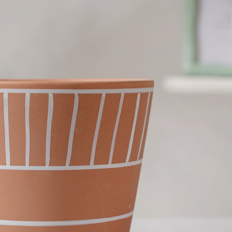 Bonsai Plant Pot - Flower vase for home decor, office and gifting | Home decoration items