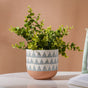 Chevron Pottery Vase - Flower vase for home decor, office and gifting | Room decoration items