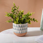 Chevron Pottery Vase - Flower vase for home decor, office and gifting | Room decoration items