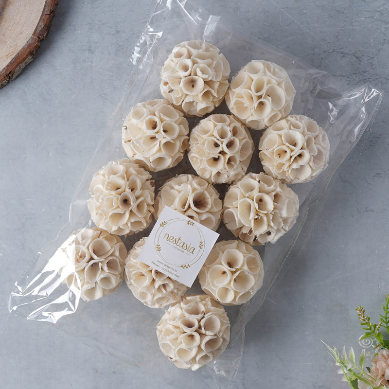 Organic Pot Filler - Natural and ecofriendly products | Sustainable home decoration items