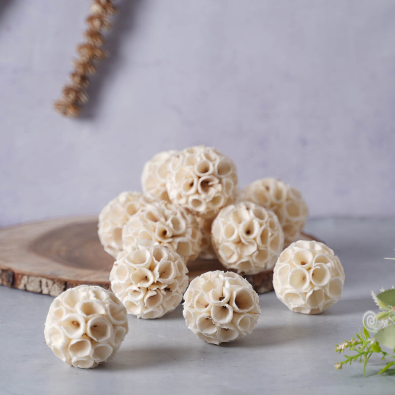 Organic Pot Filler - Natural and ecofriendly products | Sustainable home decoration items