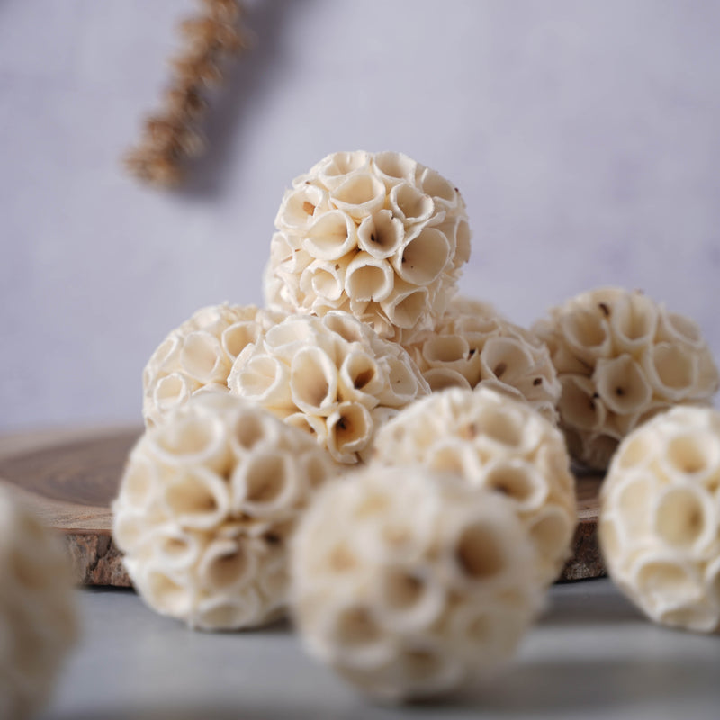 Organic Pot Filler - Natural and ecofriendly products | Sustainable home decoration items