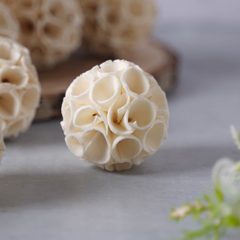 Organic Pot Filler - Natural and ecofriendly products | Sustainable home decoration items