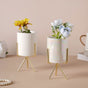 Porcelain Plant Pot - Indoor plant pots and flower pots | Home decoration items