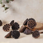 Lotus Pod - Natural, organic and eco-friendly products | Sustainable home decor items