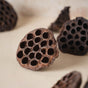 Lotus Pod - Natural, organic and eco-friendly products | Sustainable home decor items