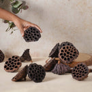 Lotus Pod