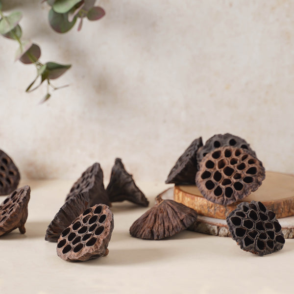 Lotus Pod - Natural, organic and eco-friendly products | Sustainable home decor items