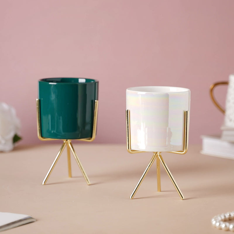 Porcelain Flower Pot - Indoor plant pots and flower pots | Home decoration items