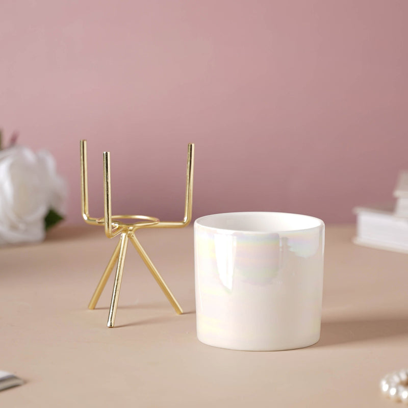 Porcelain Flower Pot - Indoor plant pots and flower pots | Home decoration items