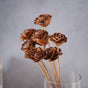 Rose Stick - Natural and sustainable home decor products | Room decoration items