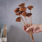 Rose Stick - Natural and sustainable home decor products | Room decoration items