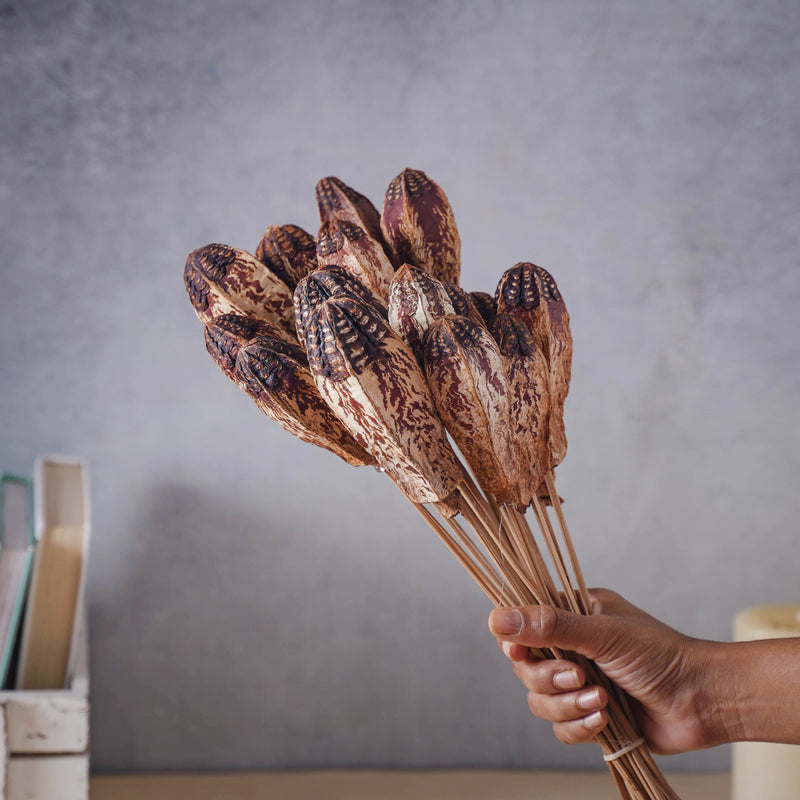 Pot Filler - Natural, organic and eco-friendly products | Sustainable home decor items