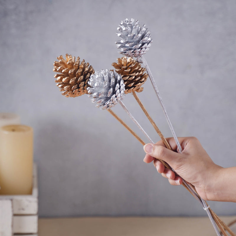 Painted Pine Cones - Natural, organic and eco-friendly pine cones | Sustainable home decor items
