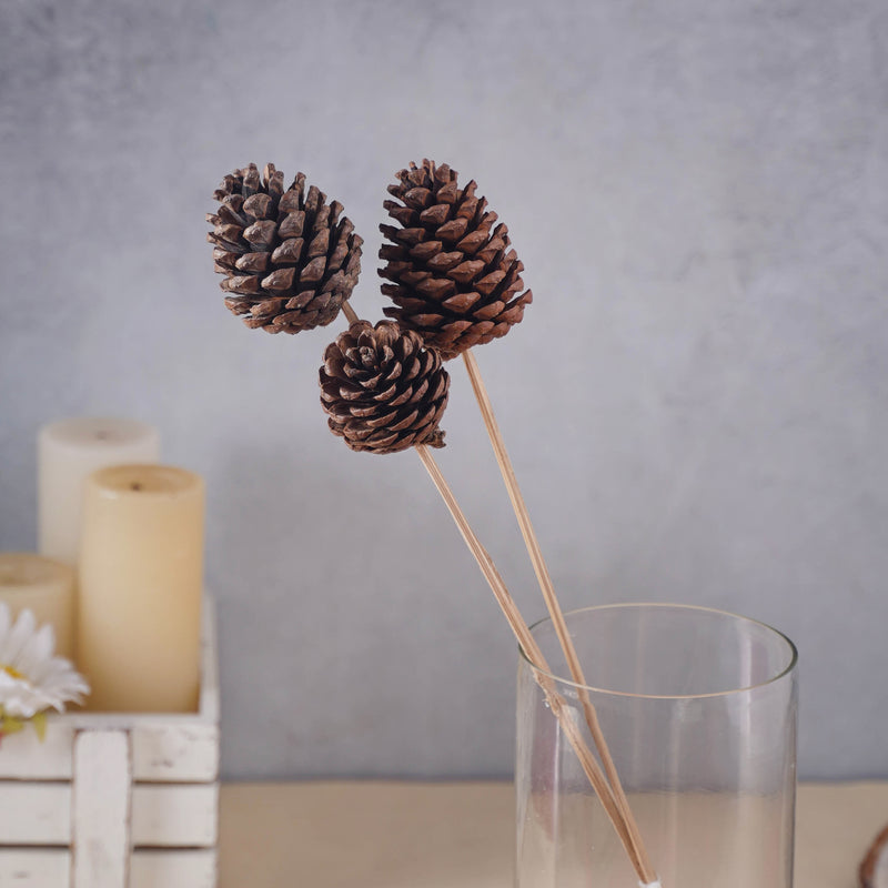 Decorative Pine Cones - Natural, organic and eco-friendly pine cones | Sustainable home decor items