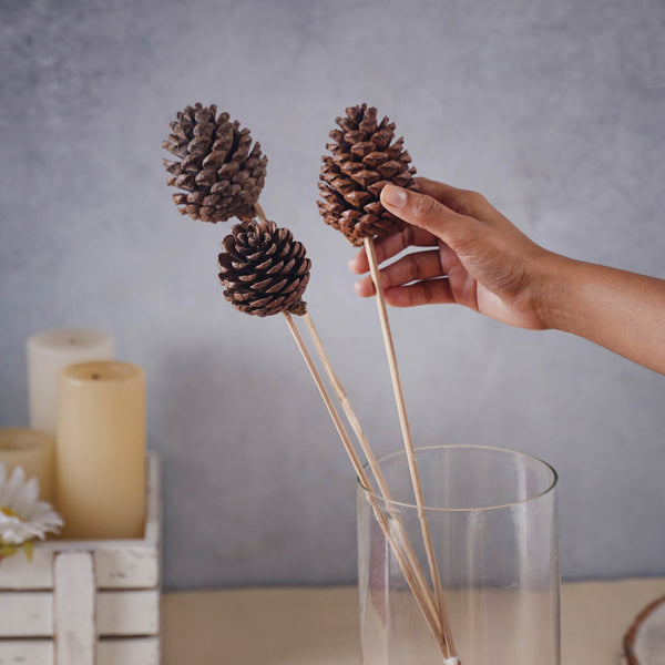 Decorative Pine Cones