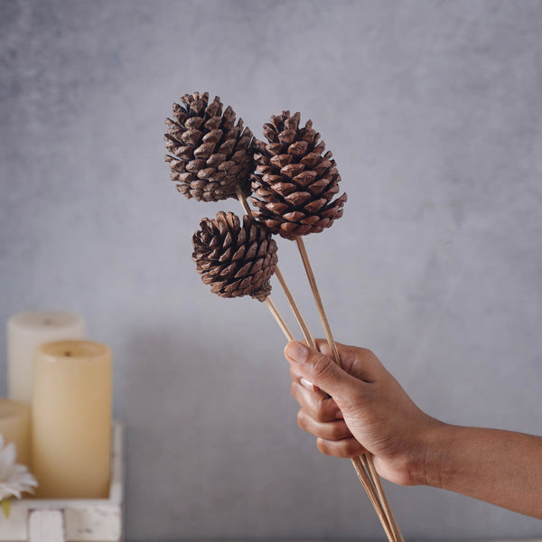 Decorative Pine Cones