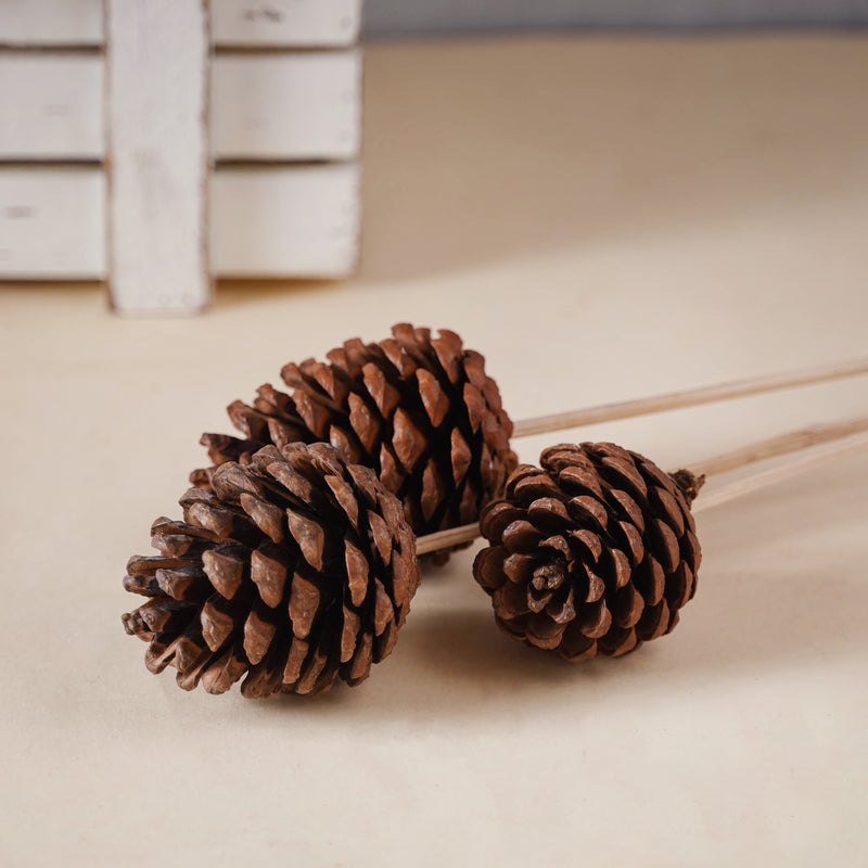 Decorative Pine Cones - Natural, organic and eco-friendly pine cones | Sustainable home decor items
