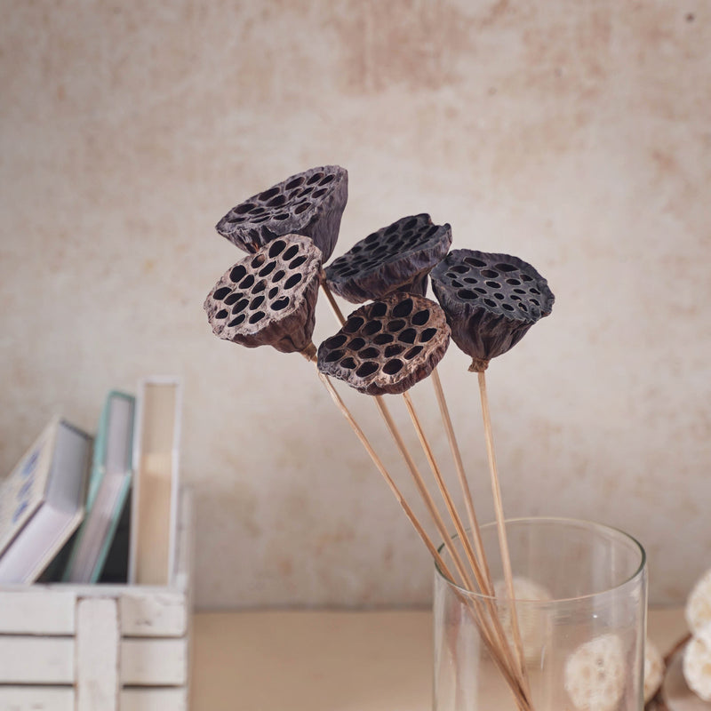 Lotus Seed Pod - Natural, organic and eco-friendly products | Sustainable home decor items