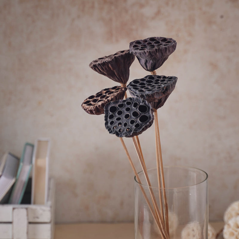 Lotus Seed Pod - Natural, organic and eco-friendly products | Sustainable home decor items
