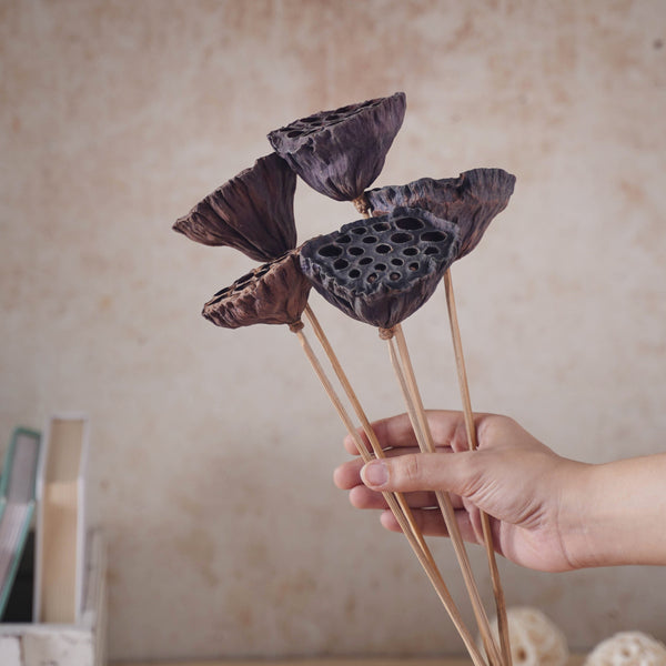Lotus Seed Pod - Natural, organic and eco-friendly products | Sustainable home decor items