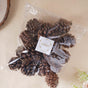 Decorative Cones - Natural, organic and eco-friendly pine cones | Sustainable home decor items