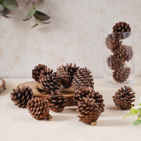 Decorative Cones - Natural, organic and eco-friendly pine cones | Sustainable home decor items