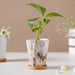Carrara Limestone Planter With Coaster - Indoor planters and flower pots | Home decor items