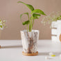 Carrara Marble Brown Planter With Coaster - Indoor planters and flower pots | Home decor items