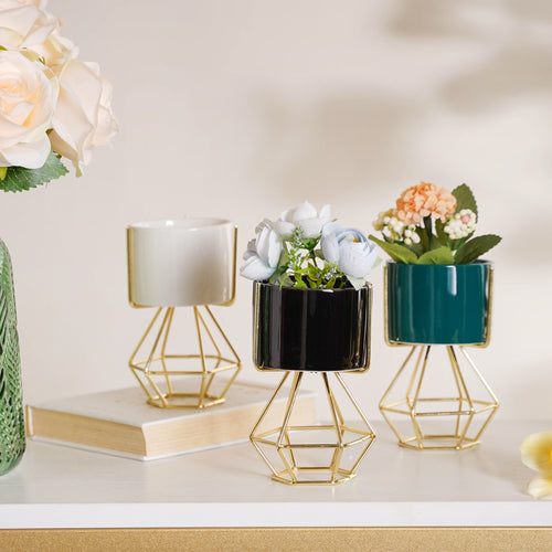 Modern Cylindrical Succulent Pot - Plant pot and plant stands | Room decor items