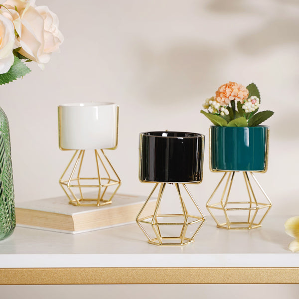 Modern Cylindrical Succulent Pot - Plant pot and plant stands | Room decor items