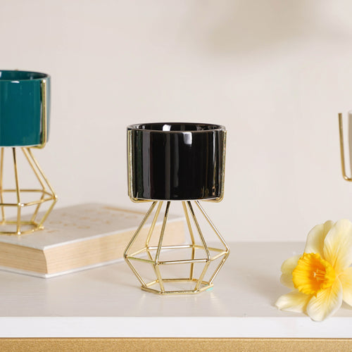 Modern Cylindrical Succulent Pot - Plant pot and plant stands | Room decor items