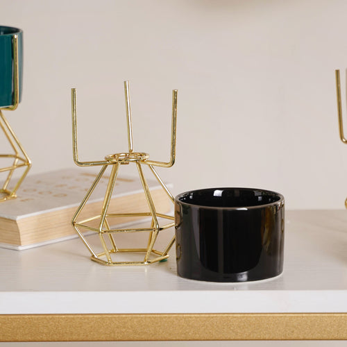 Modern Cylindrical Succulent Pot - Plant pot and plant stands | Room decor items