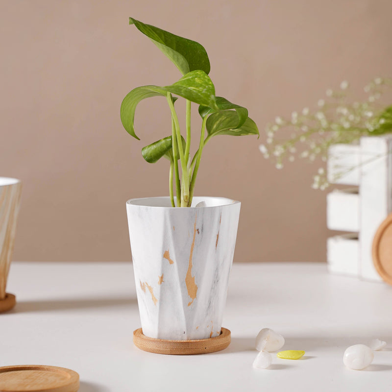Carrara Elegant Brown Planter With Coaster - Indoor planters and flower pots | Home decor items