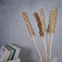 Tall Decorative Sticks - Natural and sustainable home decor products | Room decoration items