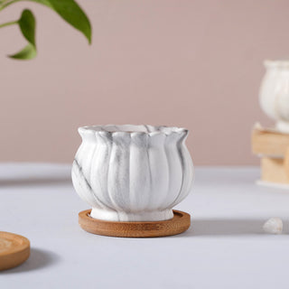 Cinzia Ivory Ceramic Planter With Coaster