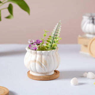 Cinzia Brown Scalloped Ceramic Planter With Coaster