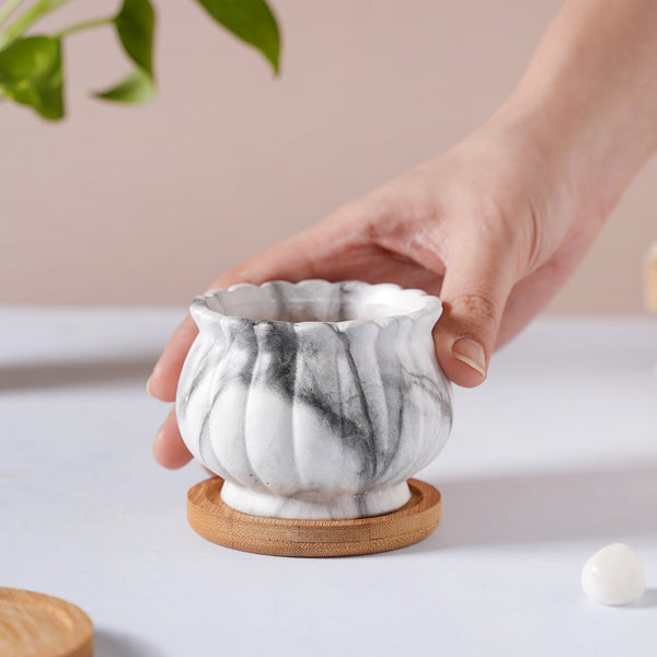 Earthy Essence Ceramic Planter Pot With Coaster Set Of 4