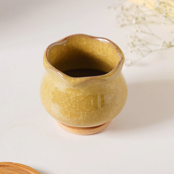 Botanica Ochre Ceramic Planter With Coaster - Indoor planters and flower pots | Home decor items