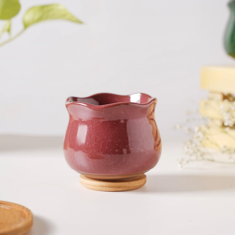 Botanica Brown Ceramic Planter With Coaster - Indoor planters and flower pots | Home decor items