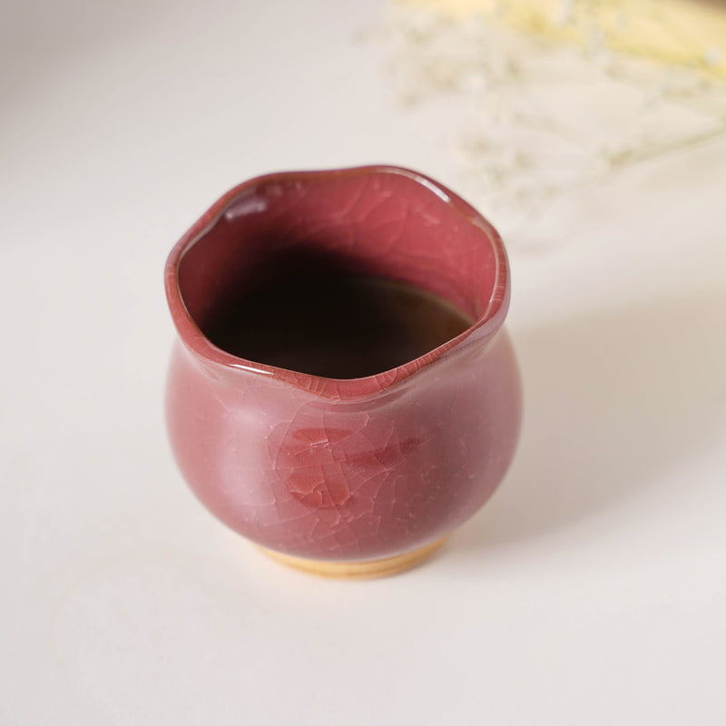 Botanica Brown Ceramic Planter With Coaster - Indoor planters and flower pots | Home decor items