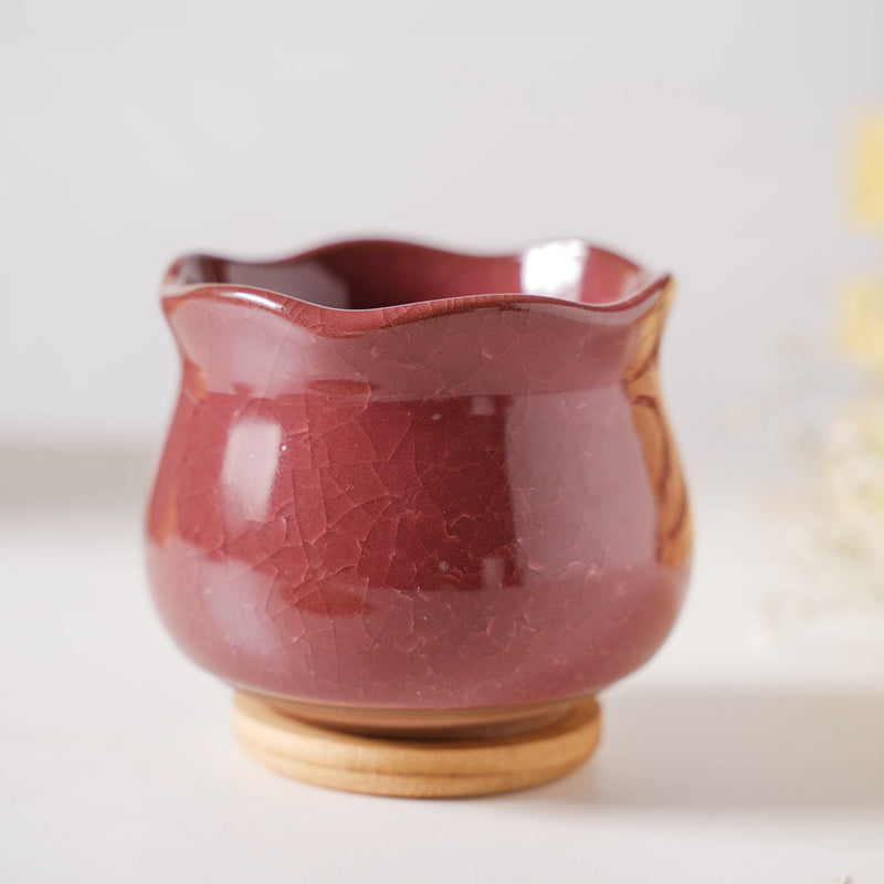 Botanica Brown Ceramic Planter With Coaster - Indoor planters and flower pots | Home decor items