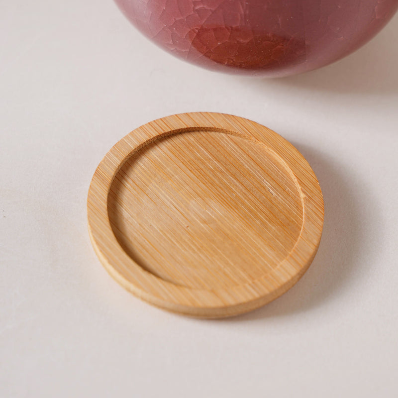 Botanica Brown Ceramic Planter With Coaster - Indoor planters and flower pots | Home decor items