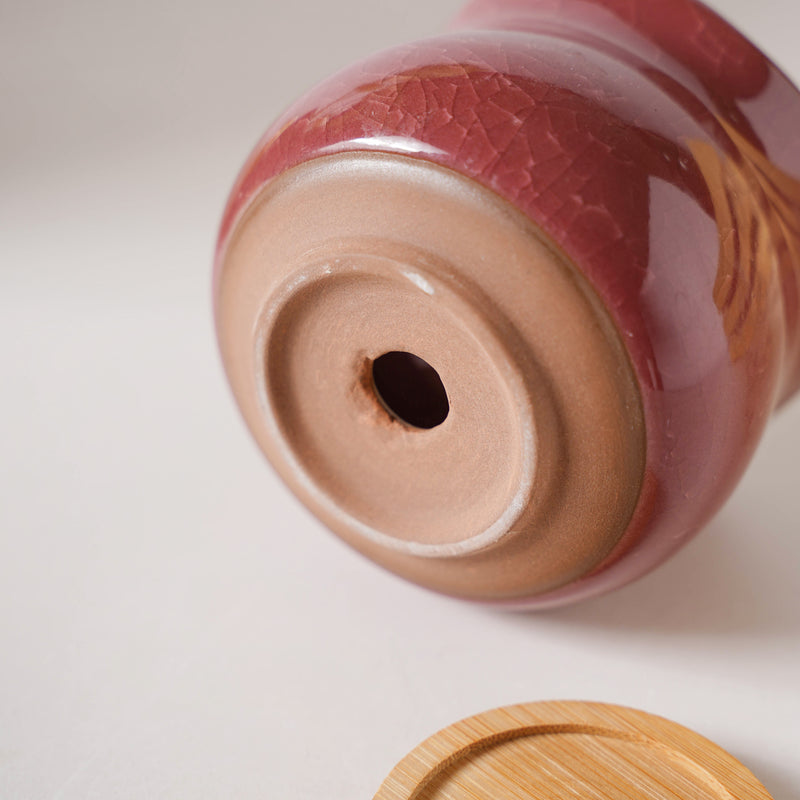 Botanica Brown Ceramic Planter With Coaster - Indoor planters and flower pots | Home decor items