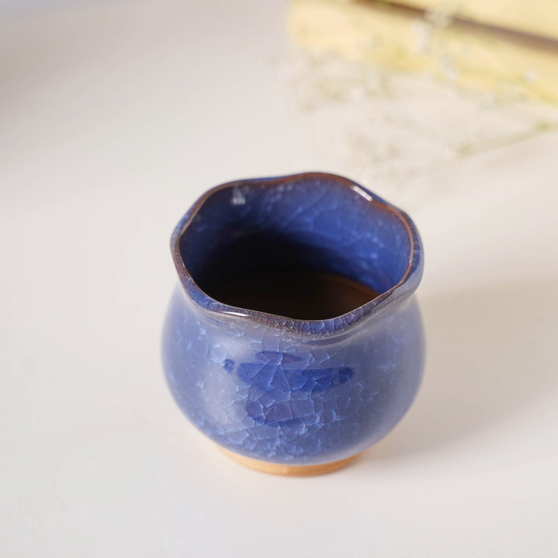 Botanica Azure Ceramic Planter With Coaster - Indoor planters and flower pots | Home decor items